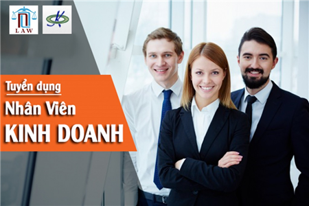Nội thất Trọng Phú Tuyển kế toán bán hàng