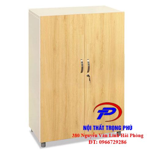 TỦ SẮT CÁNH GỖ CÔNG NGHIỆP TSG03-2