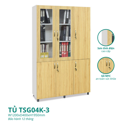 TỦ CÁNH GỖ CÔNG NGHIỆP TSG04K-3