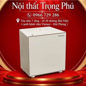 KÉT SẮT ĐẦU GIƯỜNG PHILIPS SBX300