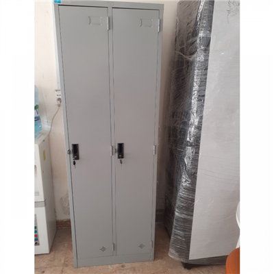 Tủ quần áo TS981-2K