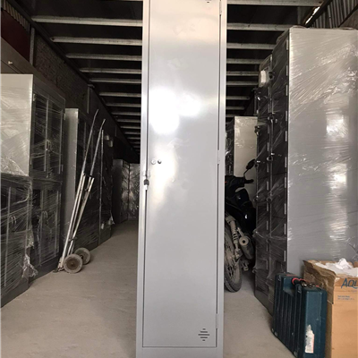 Tủ quần áo TS981