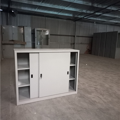 Tủ sắt 2 cánh sắt lùa TS118S