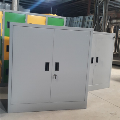 Tủ sắt 2 cánh mở TS06