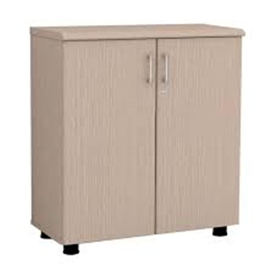 Tủ tài liệu Newtrend NT880D