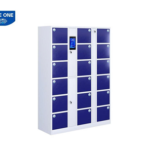TỦ LOCKER THÔNG MINH THE ONE SLC01DL – TỦ KHỐI ĐƠN 12 NGĂN KHÓA FACE ID