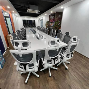 Ghế xoay lưới  công thái học cao cấp TPTMS09