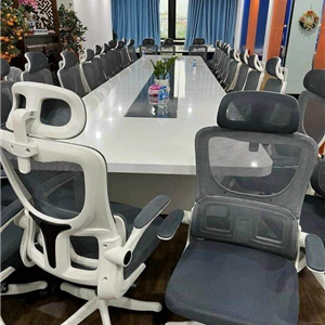 Ghế xoay lưới  công thái học cao cấp TPTMS09