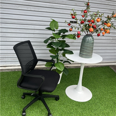 Ghế xoay lưới TPGL119 - B017 chân nhựa