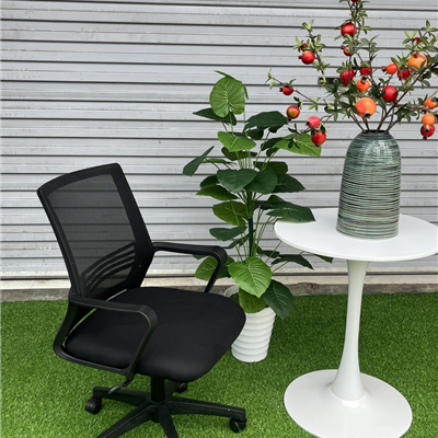 Ghế xoay lưới TPGL119 - B017 chân nhựa