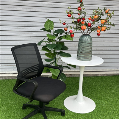 Ghế xoay lưới TPGL119 - B017 chân nhựa