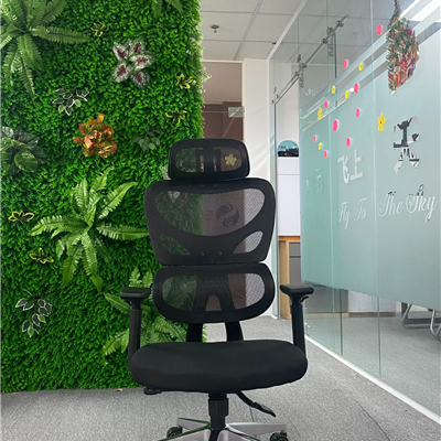 Ghế xoay lưới  công thái học cao cấp TP CTH80D