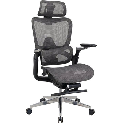 Ghế Lưới Công Thái Học The One GLE24 Cao Cấp – Ghế Văn Phòng Có Gác Chân Thư Giãn