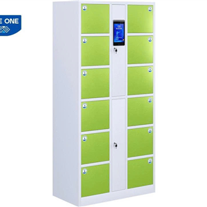 Tủ Locker Thông Minh The One SLC01DL (Khối Đơn 12 Ngăn)