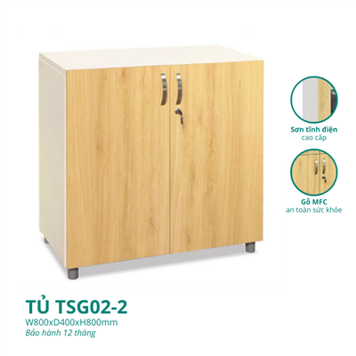 TỦ TSG02-2